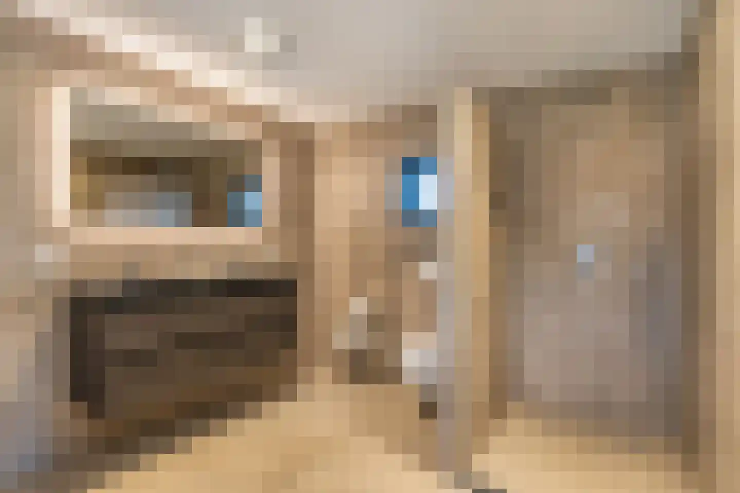 Heemraadstraat 2 Hoenzadriel thumbnail 22