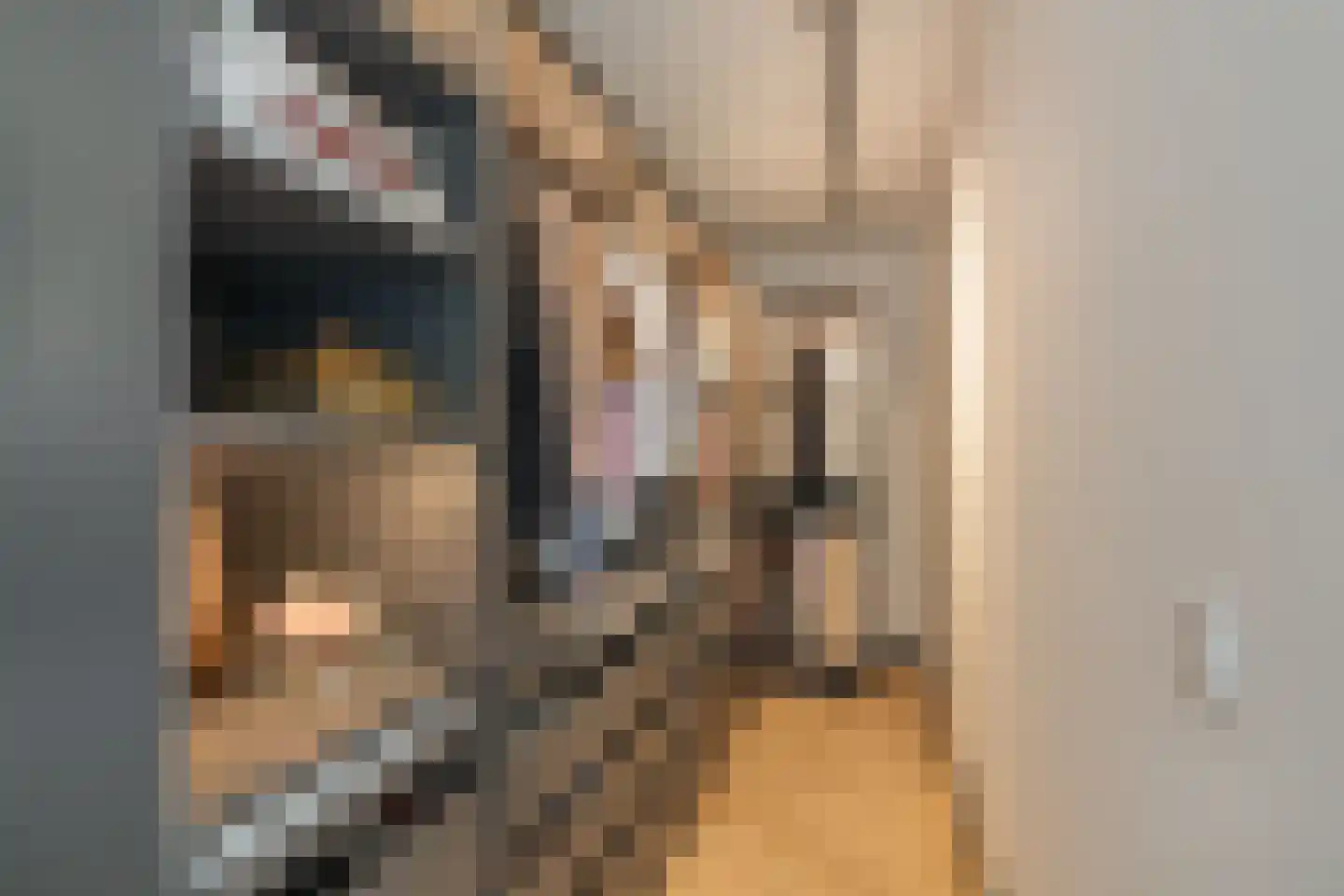 Heemraadstraat 2 Hoenzadriel thumbnail 24