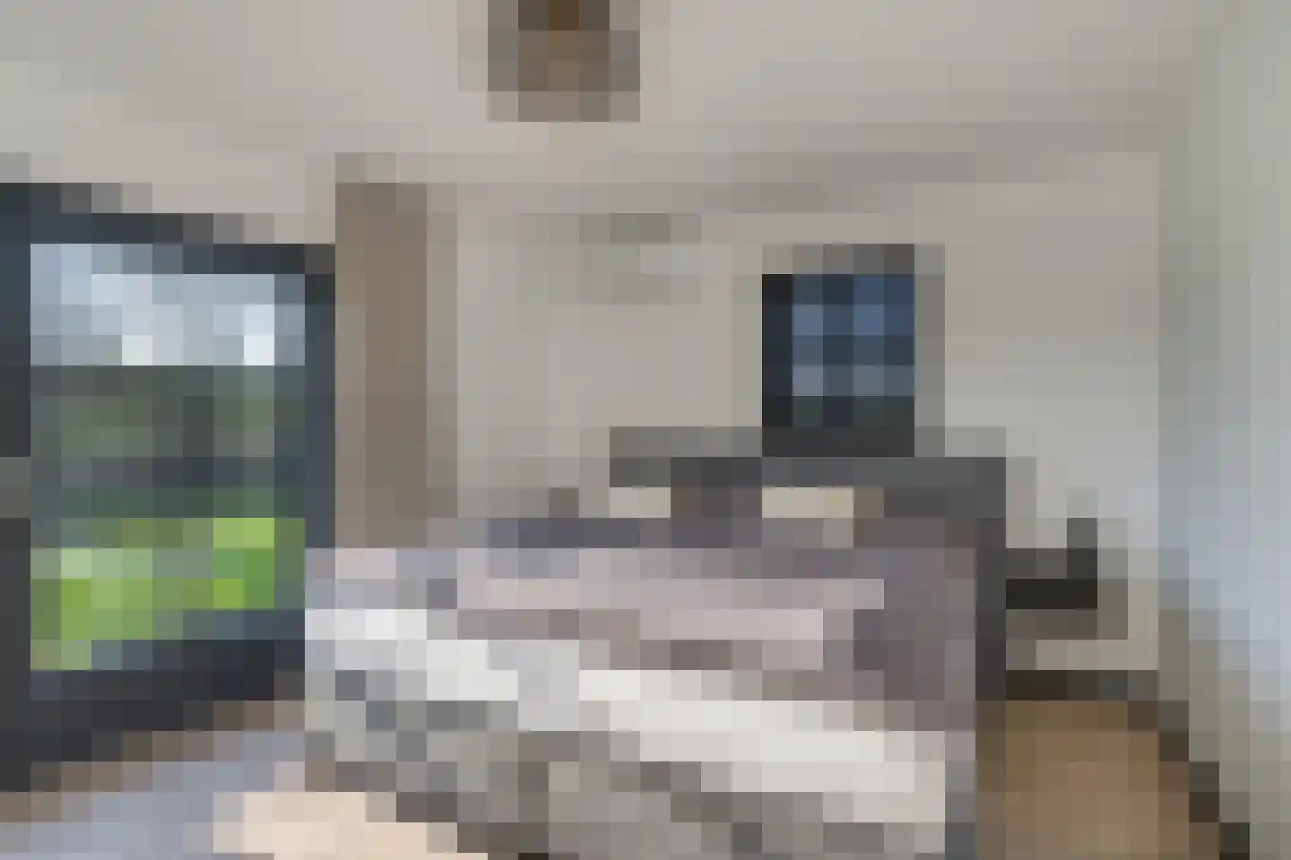 Heemraadstraat 2 Hoenzadriel thumbnail 25