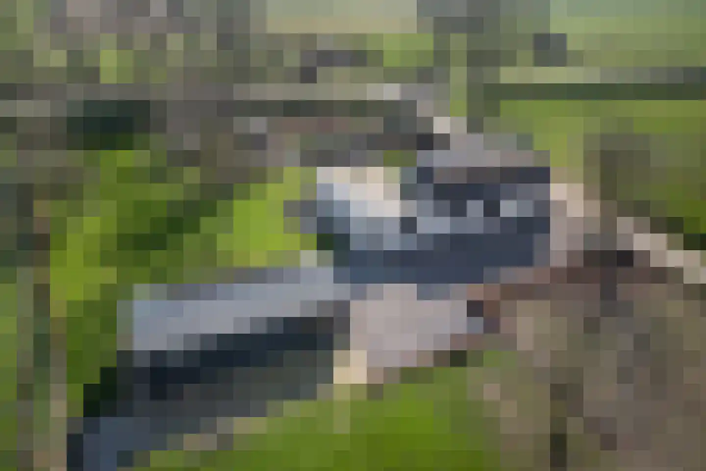 Heemraadstraat 2 Hoenzadriel thumbnail 37