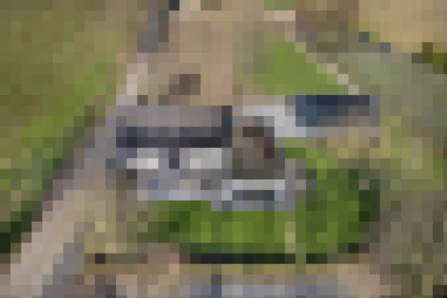 Heemraadstraat 2 Hoenzadriel thumbnail 39