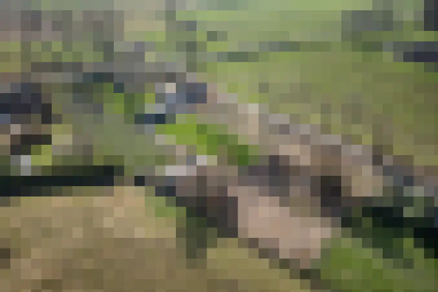 Heemraadstraat 2 Hoenzadriel thumbnail 43