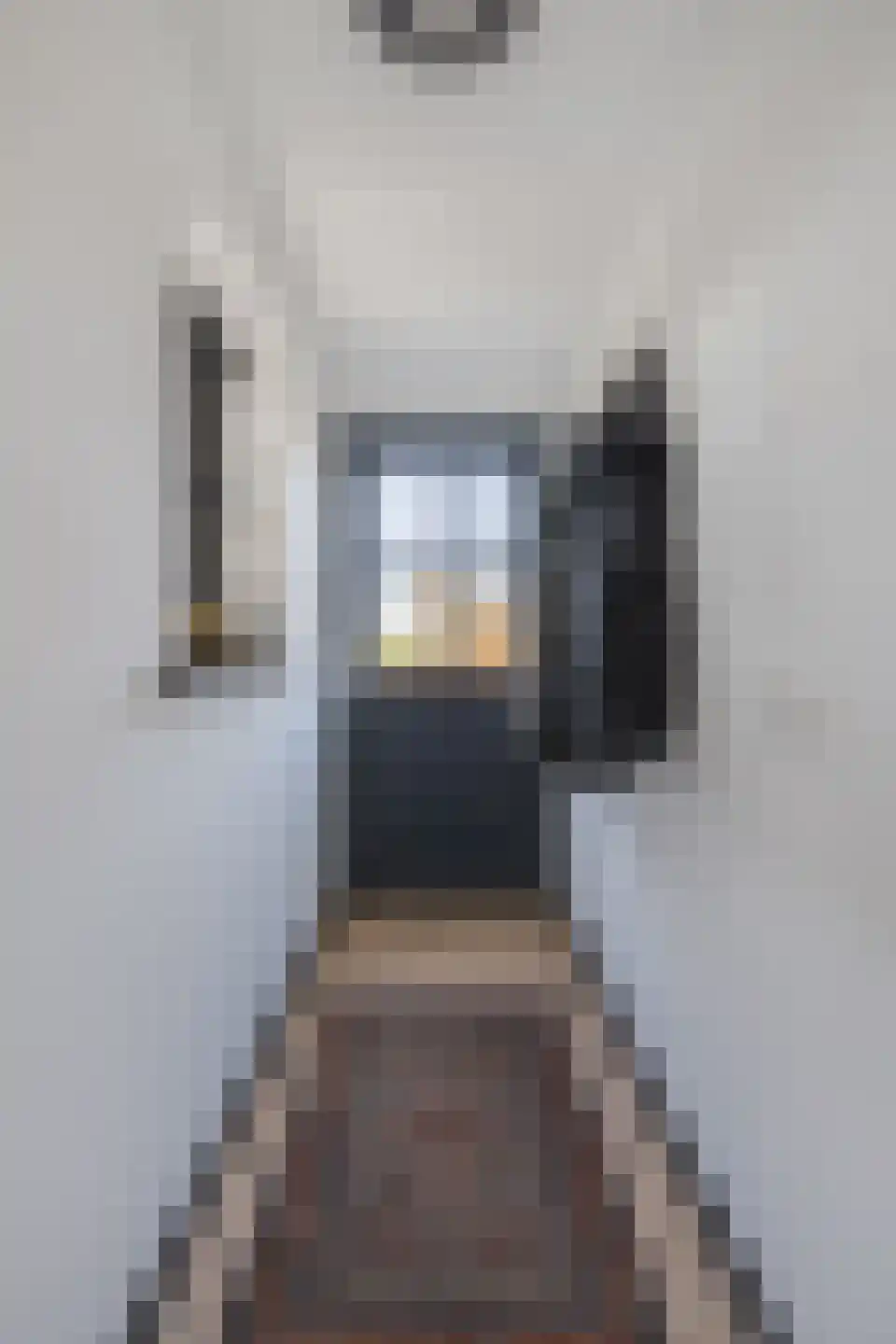 Heemraadstraat 2 Hoenzadriel thumbnail 7