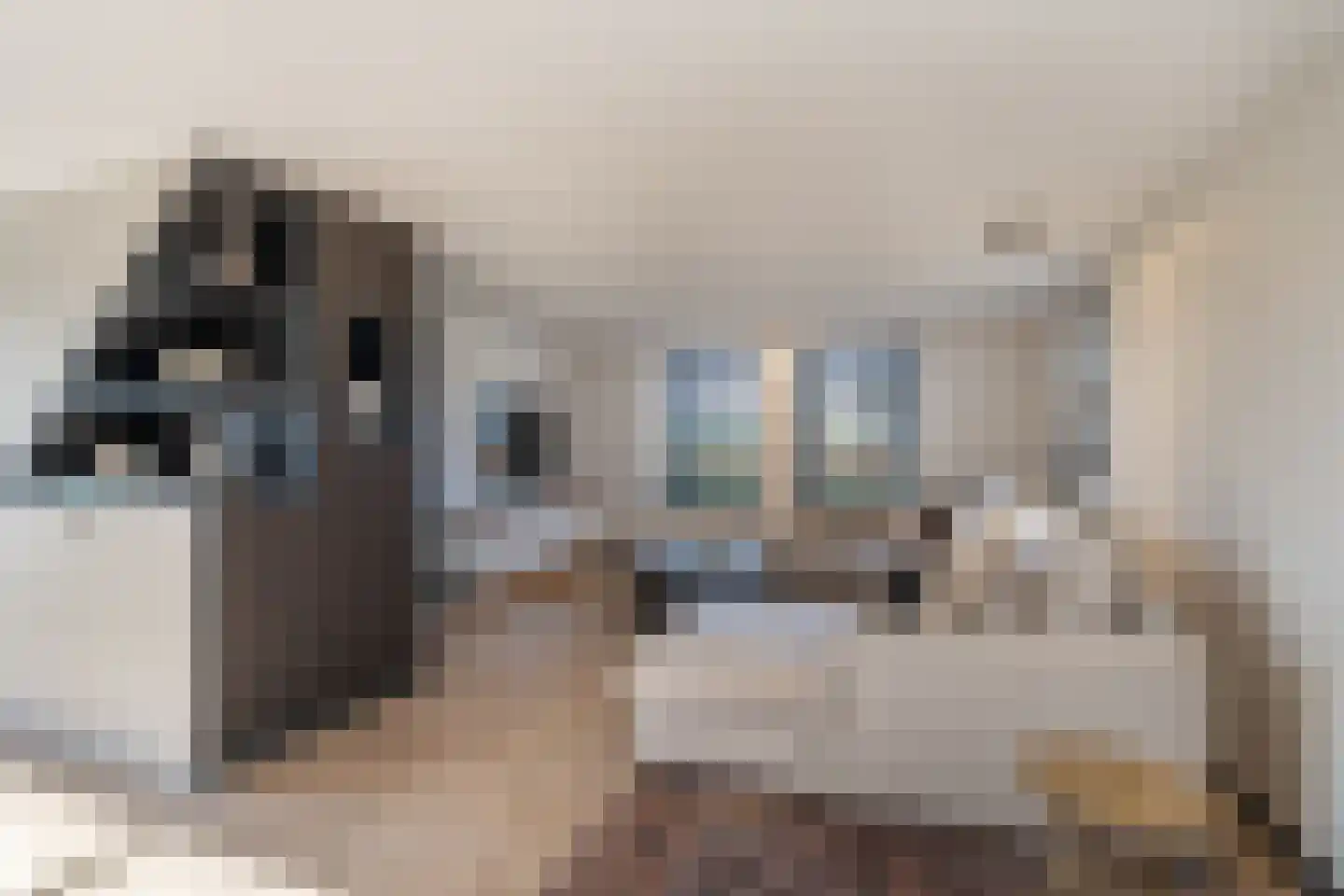 Heemraadstraat 2 Hoenzadriel thumbnail 9