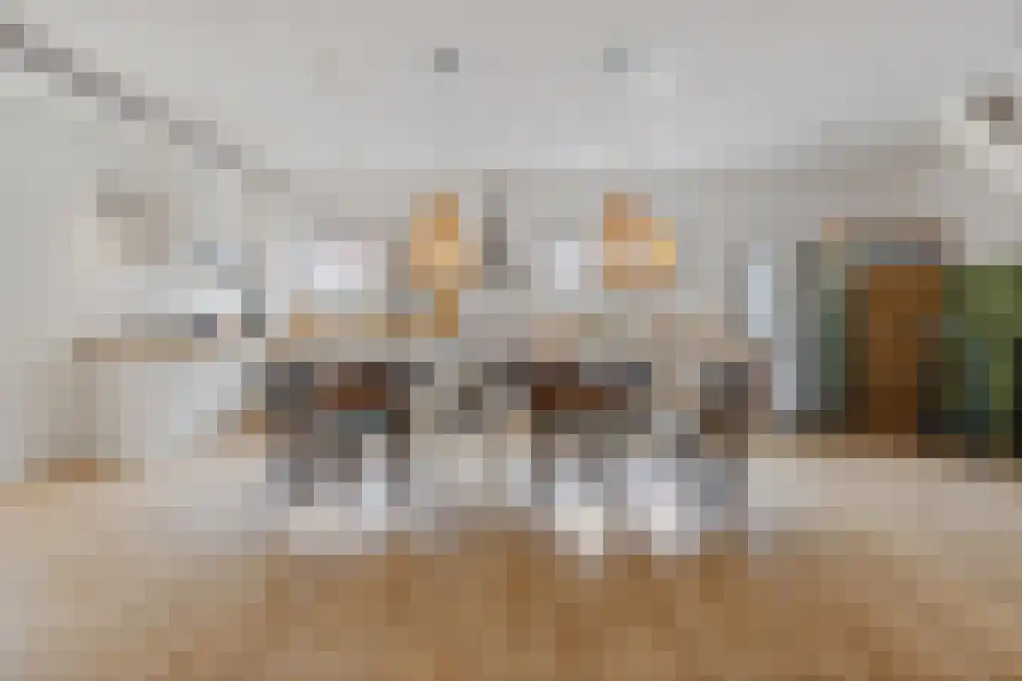 Heemraadstraat 203 T Den Haag thumbnail 10