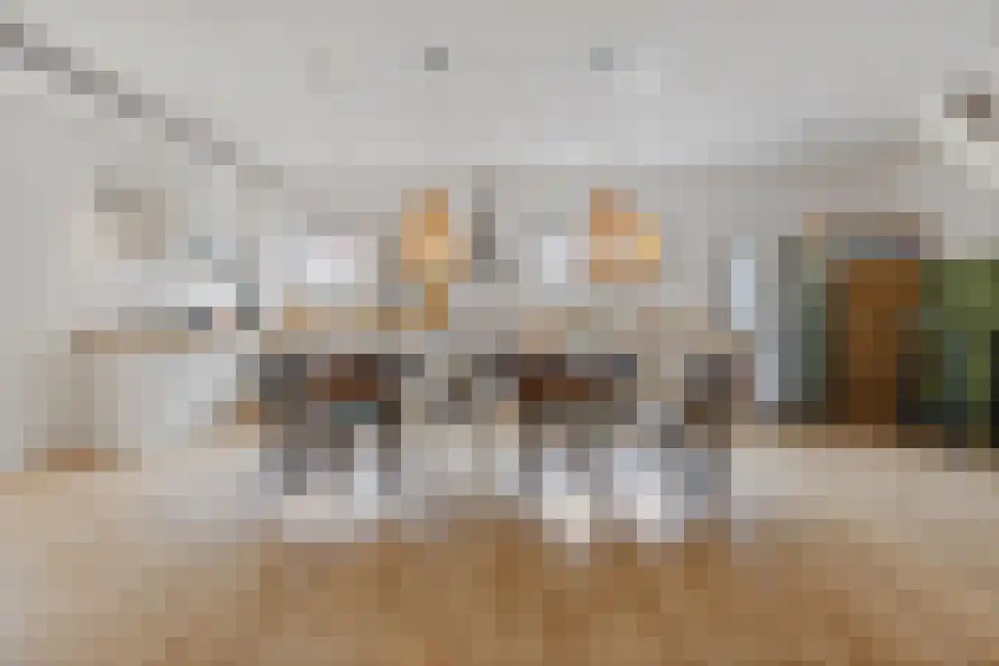 Heemraadstraat 203 T Den Haag thumbnail 11