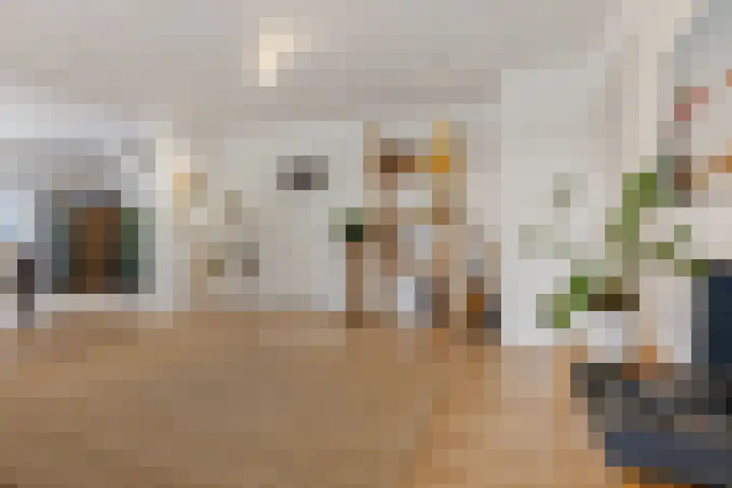 Heemraadstraat 203 T Den Haag thumbnail 13