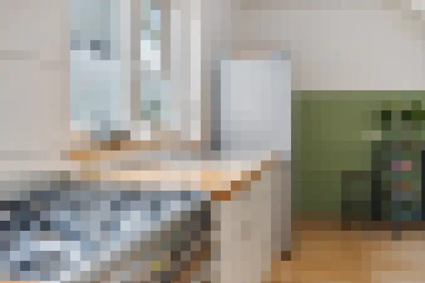 Heemraadstraat 203 T Den Haag thumbnail 22