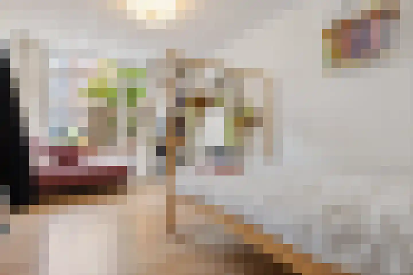 Heemraadstraat 203 T Den Haag thumbnail 34