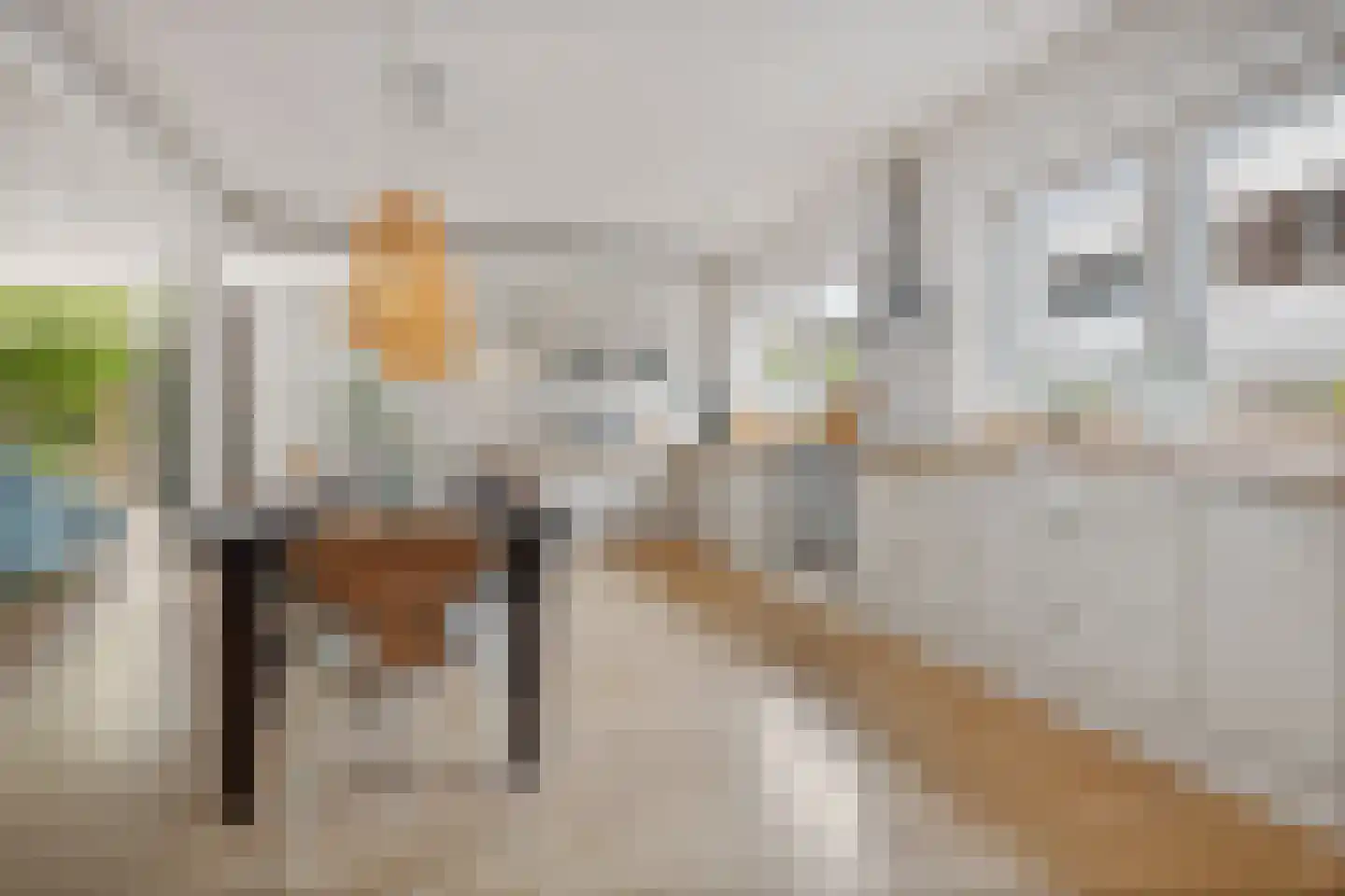 Heemraadstraat 203 T Den Haag thumbnail 9