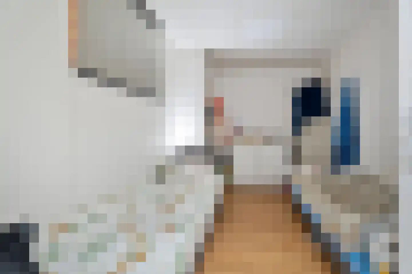 Heemraadstraat 23 a Bunschoten-Spakenburg thumbnail 14