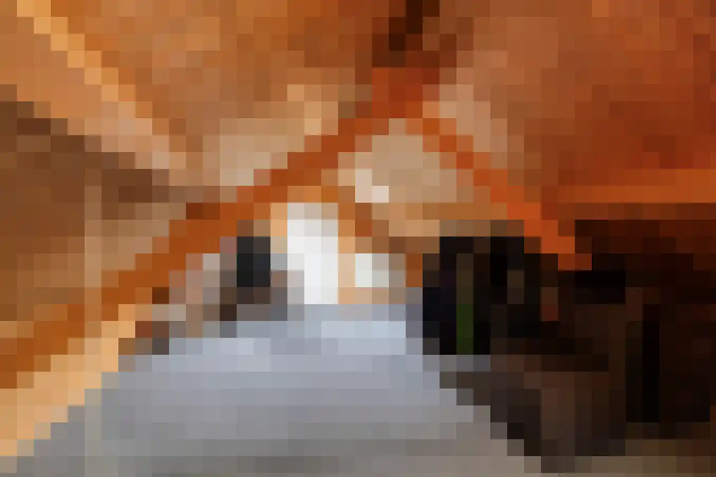 Heemraadstraat 23 a Bunschoten-Spakenburg thumbnail 31
