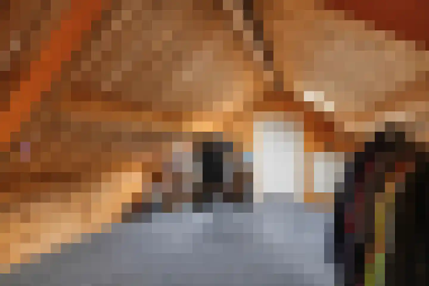 Heemraadstraat 23 a Bunschoten-Spakenburg thumbnail 32