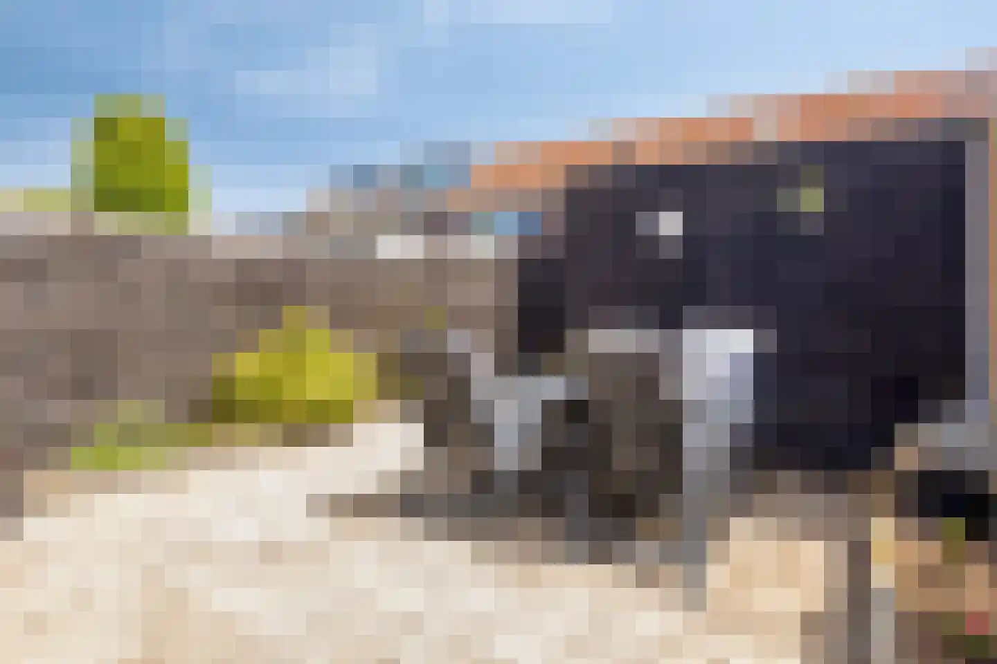 Heemraadstraat 23 Alkmaar thumbnail 16