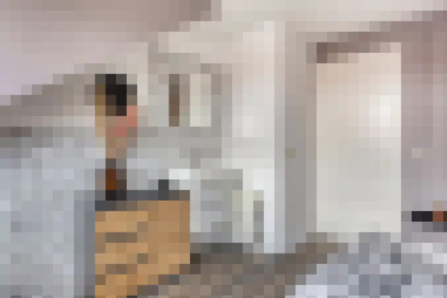 Heemraadstraat 23 Alkmaar thumbnail 32