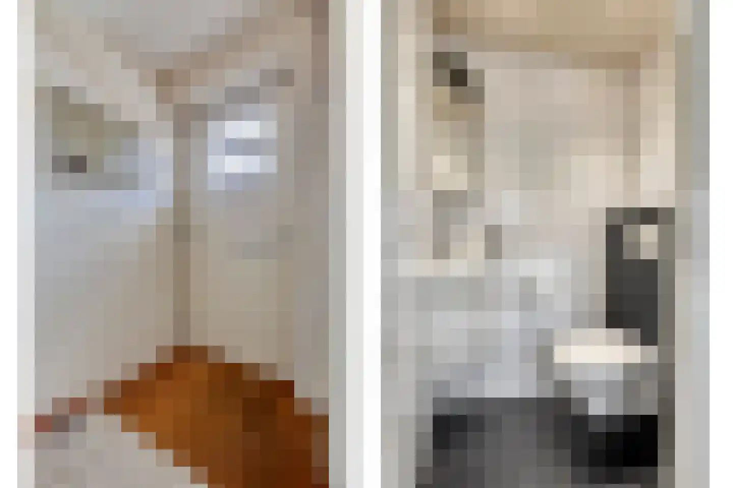 Heemraadstraat 23 Alkmaar thumbnail 7