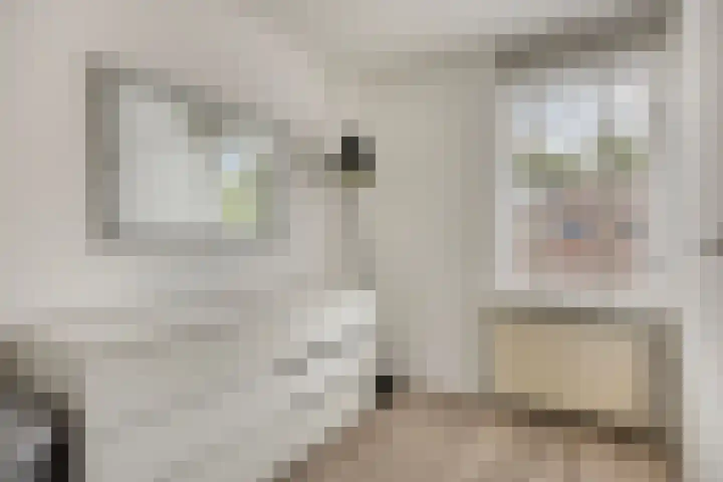 Heemraadstraat 24 Bunschoten-Spakenburg thumbnail 23