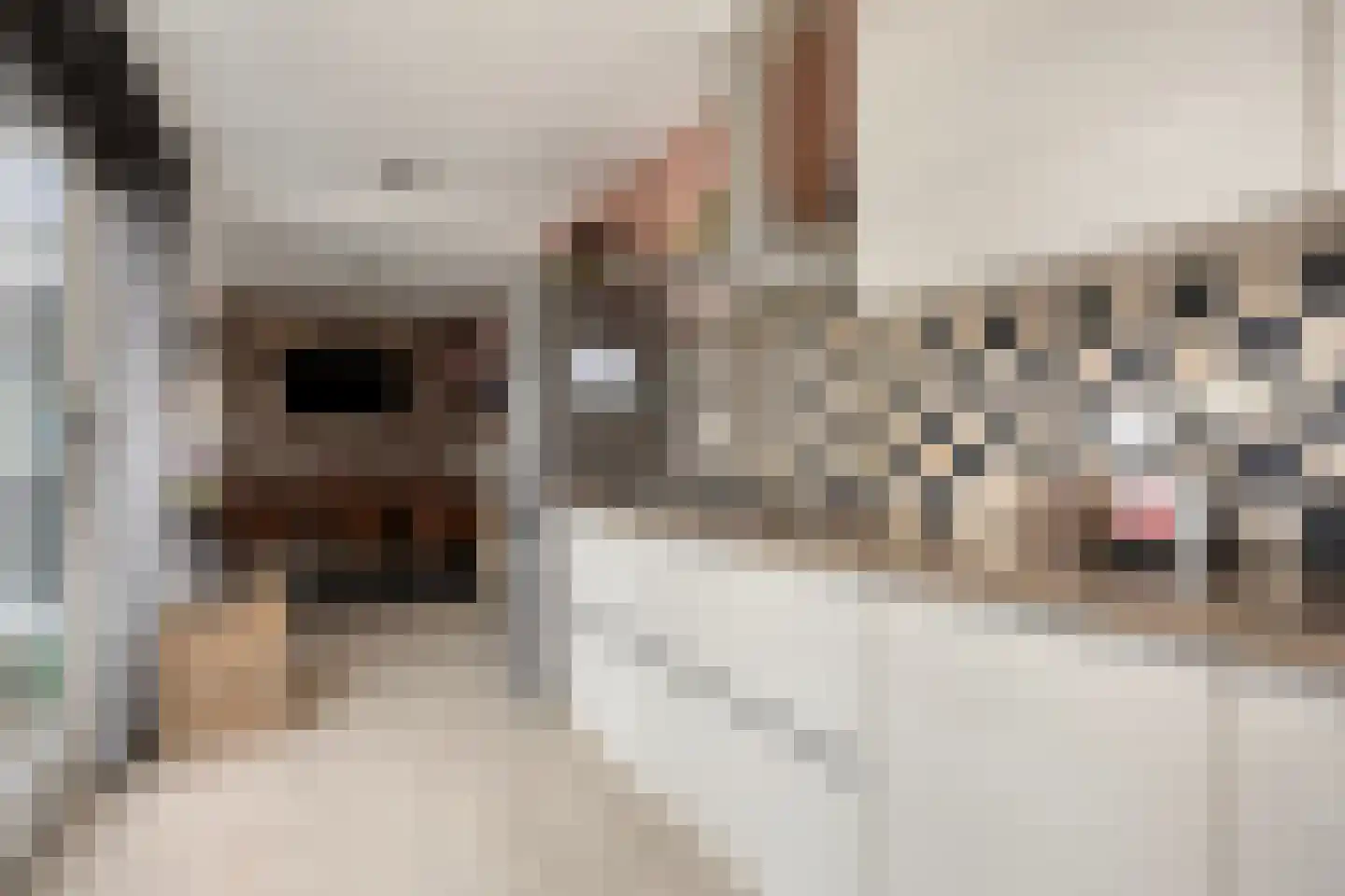 Heemraadstraat 24 Bunschoten-Spakenburg thumbnail 4