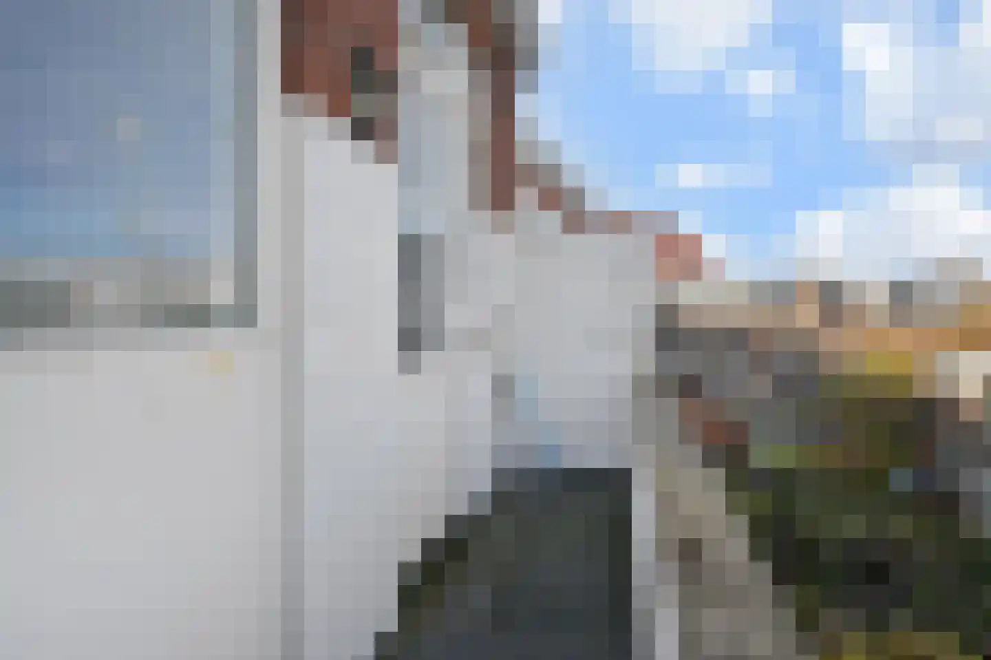 Heemraadstraat 30 Den Haag thumbnail 11