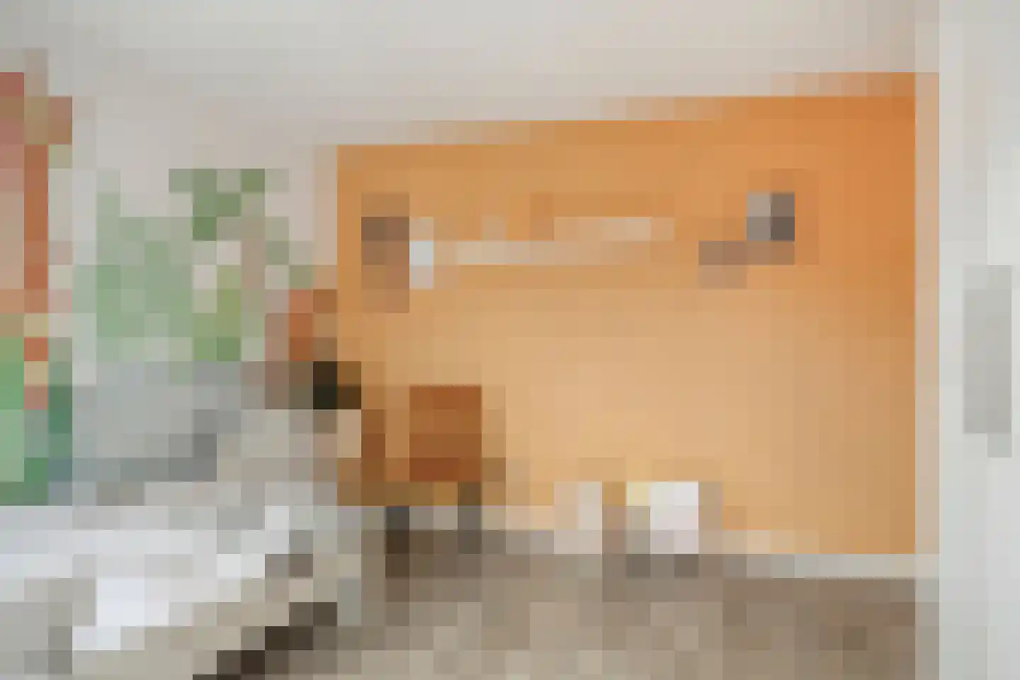 Heemraadstraat 31 Bunschoten-Spakenburg thumbnail 18