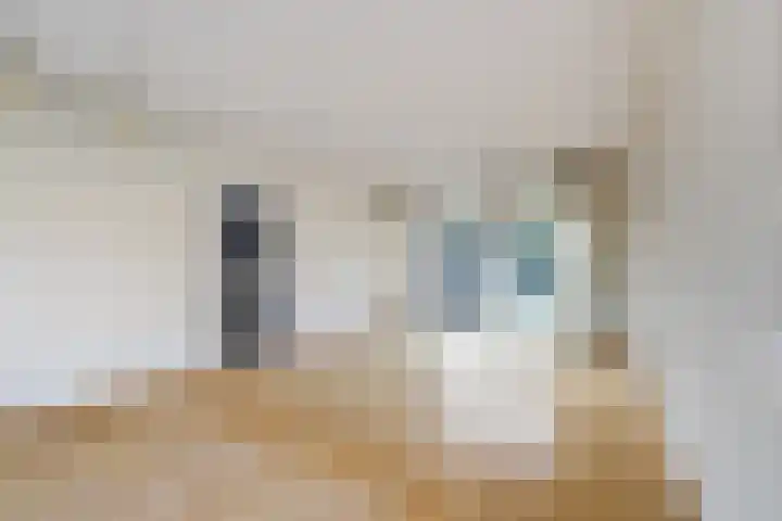 Heemraadstraat 33 Waspik thumbnail 12
