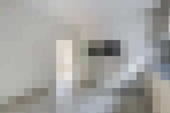 Heemraadstraat 33 Waspik thumbnail 15