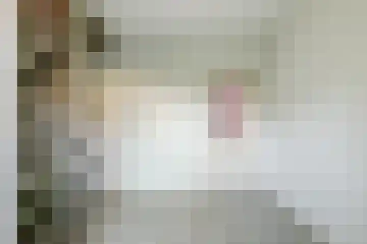 Heemraadstraat 33 Waspik thumbnail 18