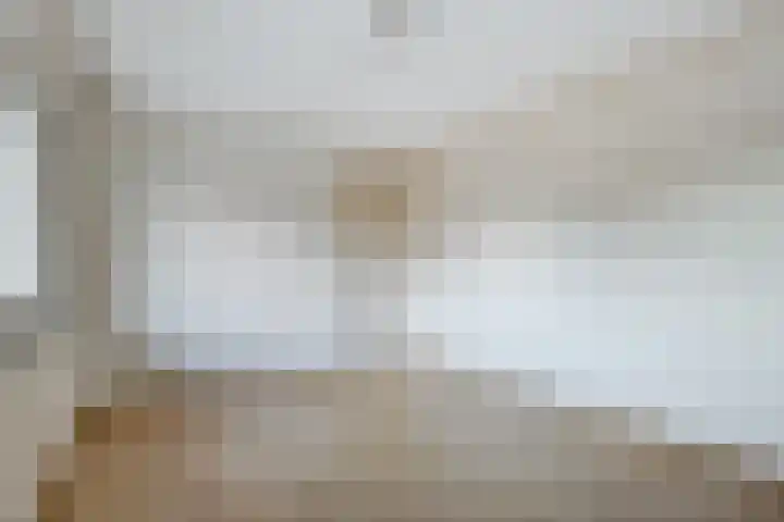 Heemraadstraat 33 Waspik thumbnail 22