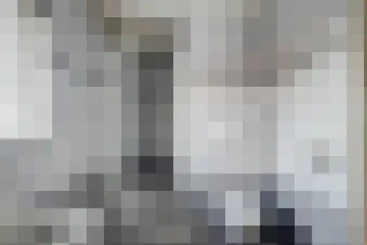 Heemraadstraat 33 Waspik thumbnail 28