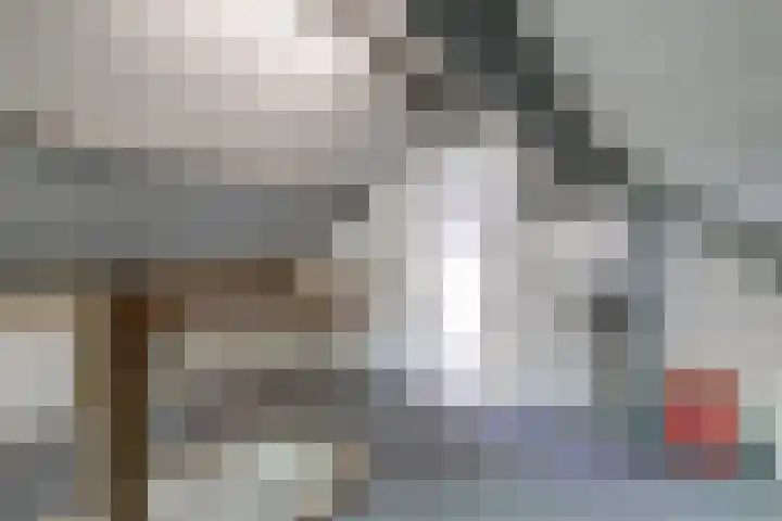 Heemraadstraat 33 Waspik thumbnail 31