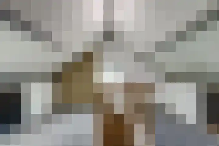 Heemraadstraat 33 Waspik thumbnail 32