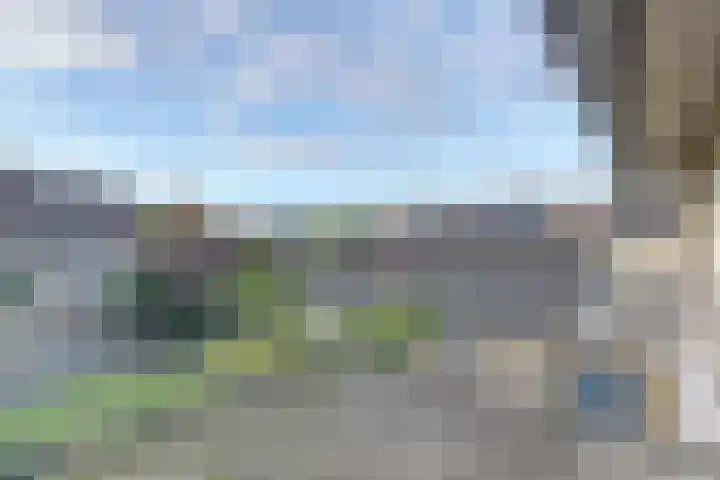 Heemraadstraat 33 Waspik thumbnail 36