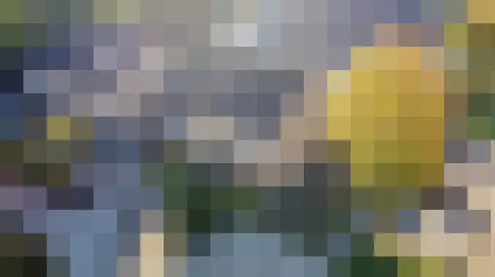 Heemraadstraat 33 Waspik thumbnail 44