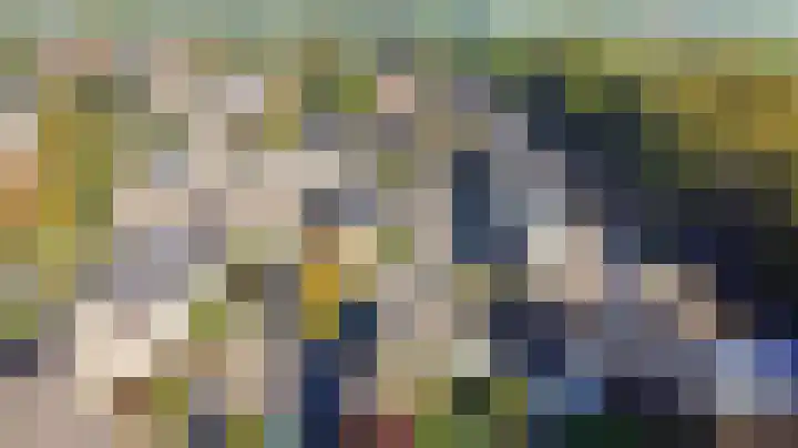 Heemraadstraat 33 Waspik thumbnail 50