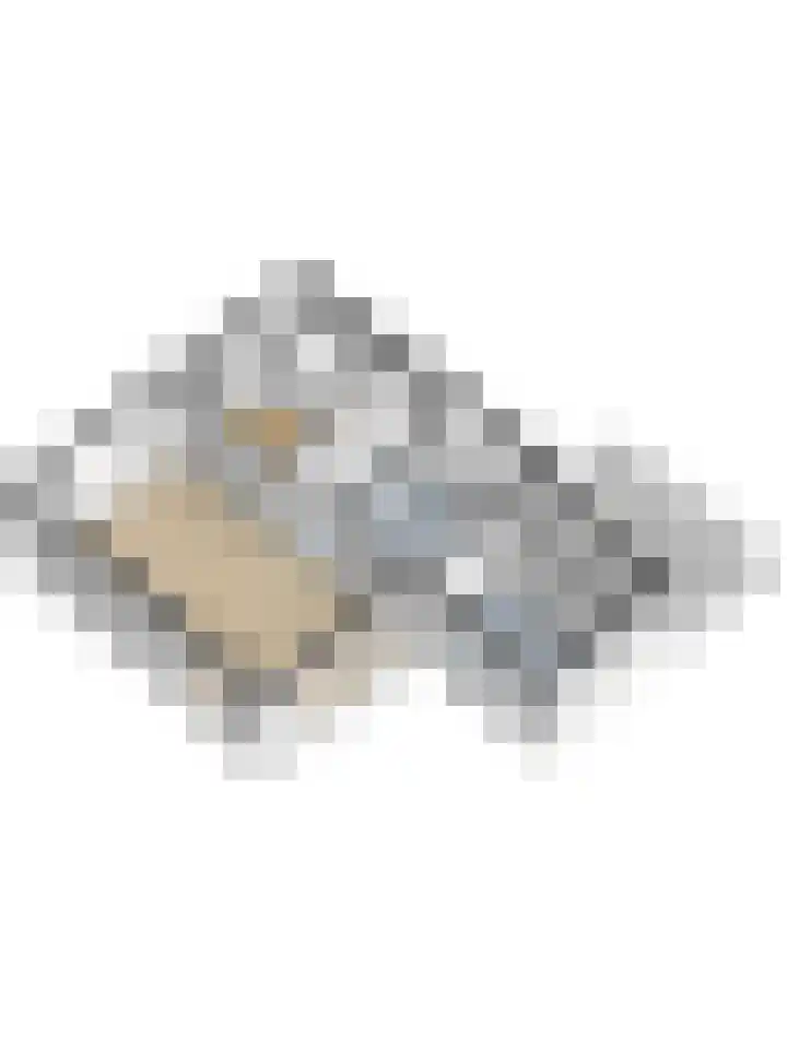 Heemraadstraat 33 Waspik thumbnail 63
