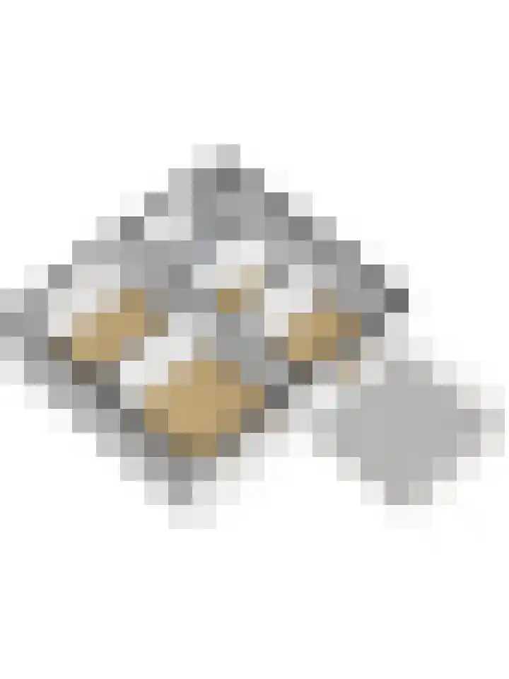 Heemraadstraat 33 Waspik thumbnail 64