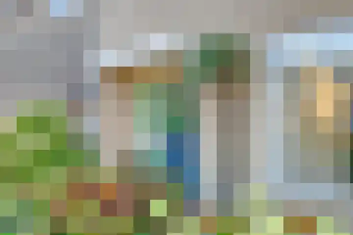 Heemraadstraat 33 Waspik thumbnail 9