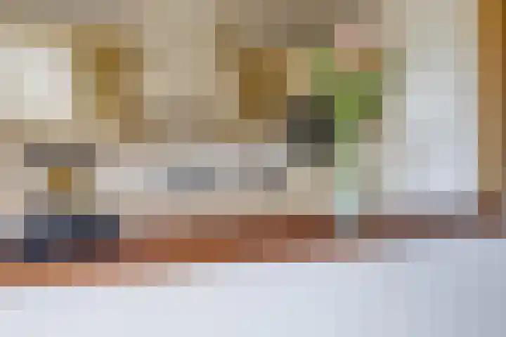 Heemraadstraat 42 Waspik thumbnail 10