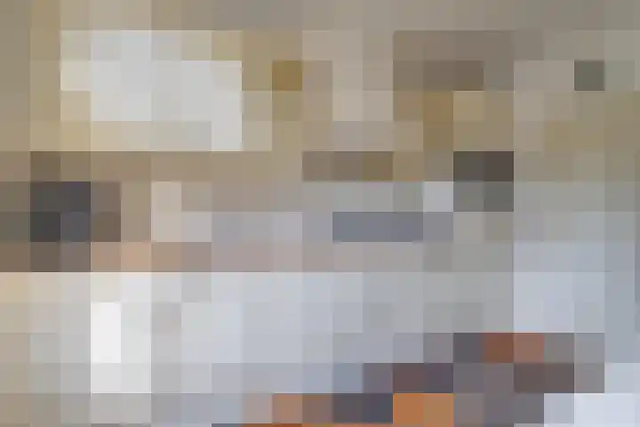 Heemraadstraat 42 Waspik thumbnail 11