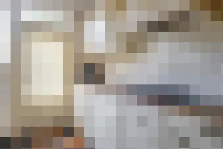 Heemraadstraat 42 Waspik thumbnail 12