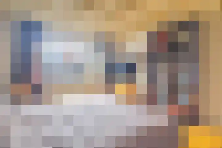 Heemraadstraat 42 Waspik thumbnail 15