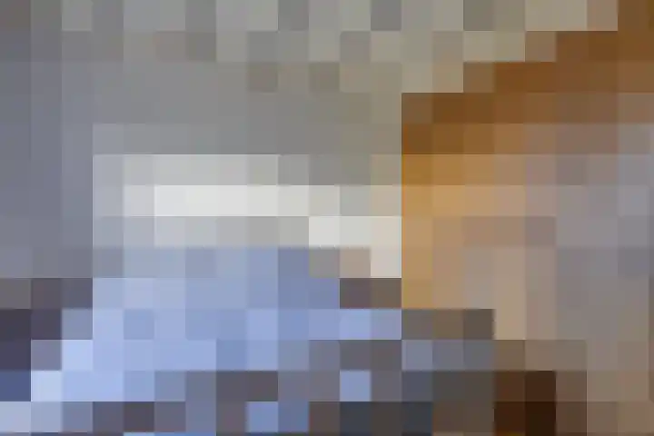 Heemraadstraat 42 Waspik thumbnail 18