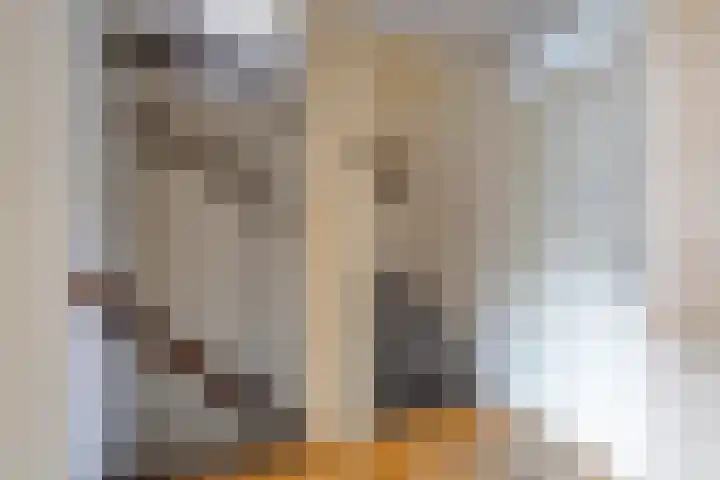 Heemraadstraat 42 Waspik thumbnail 22