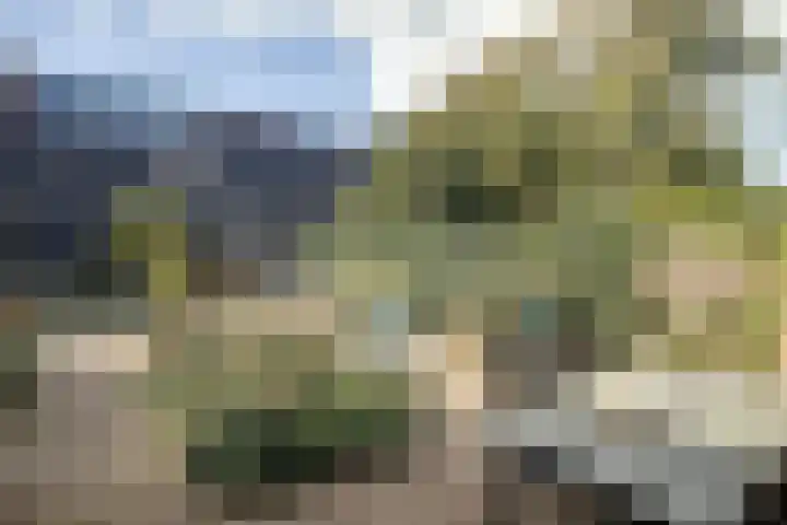 Heemraadstraat 42 Waspik thumbnail 26