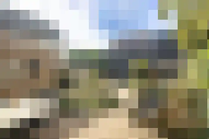 Heemraadstraat 42 Waspik thumbnail 27