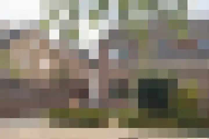 Heemraadstraat 42 Waspik thumbnail 33