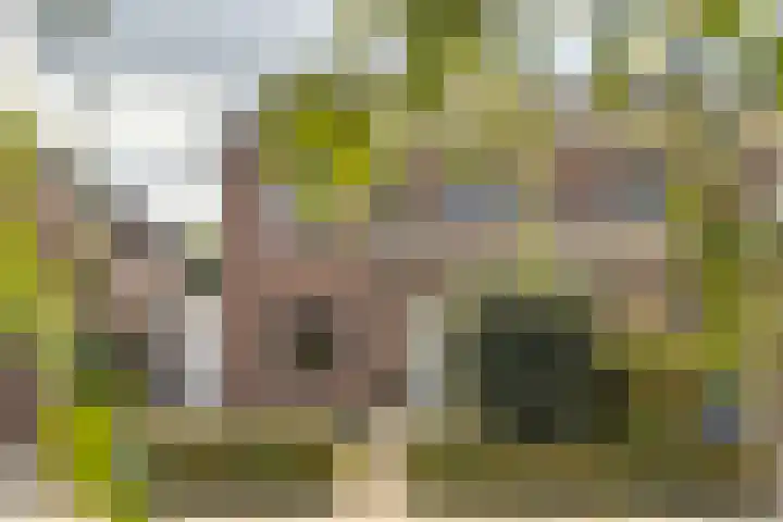 Heemraadstraat 42 Waspik thumbnail 34
