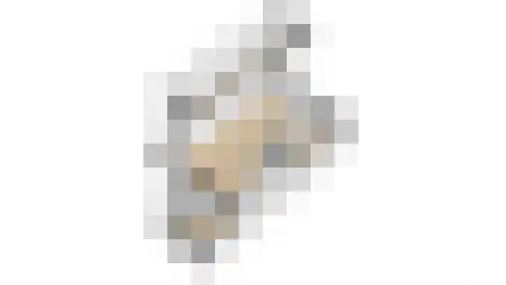 Heemraadstraat 42 Waspik thumbnail 39
