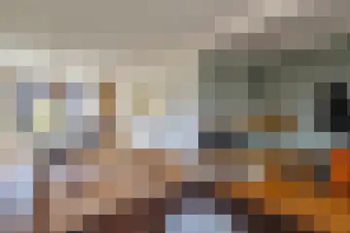 Heemraadstraat 42 Waspik thumbnail 4