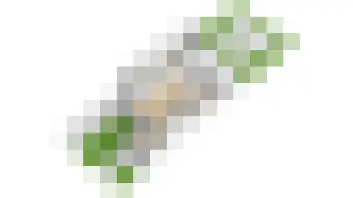 Heemraadstraat 42 Waspik thumbnail 45